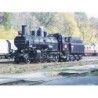 Dampflokomotiven BR 434.1 - ČSD HO